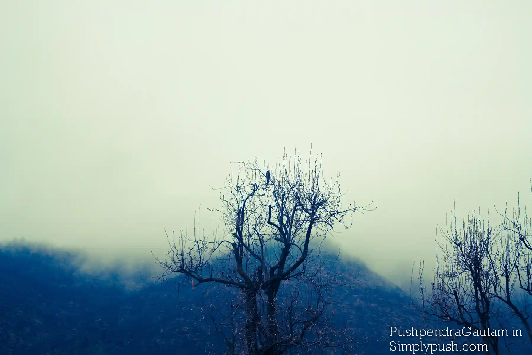 best-places-to-visit-in-srinagar